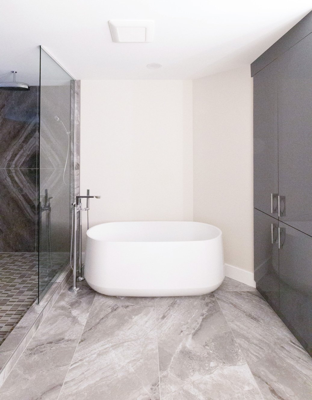 Modern Master Bath Tub and Shower